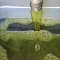 4 Huiles Vierges Tamanu 30ml (dont 1 Gratuit) Tevi Raiatea -Monoï Boutique 4 huiles vierges tamanu 30ml dont 1 gratuit tevi raiatea 6