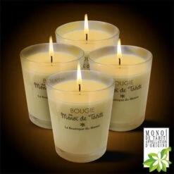 Lot 4 Bougies Au Monoi Ao Tahiti Parfum Paradis 180g