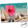 Carte Postale Hibiscus Perles Et Coquillages Cp321