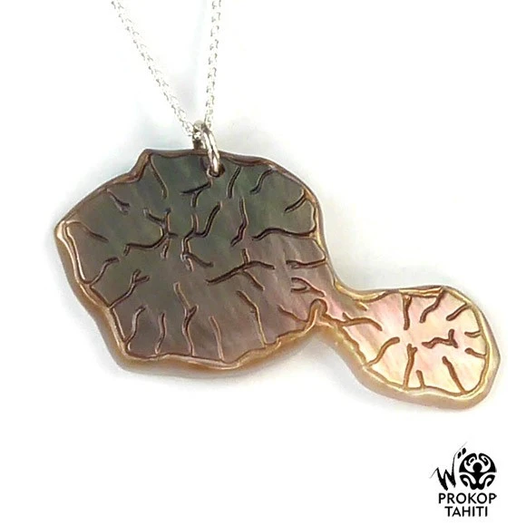 Chaine Argent Pendentif Nacre Prokop Medaillon Tahiti Ctb2 1 Chaine Argent Pendentif Nacre Prokop Medaillon Tahiti Ctb2