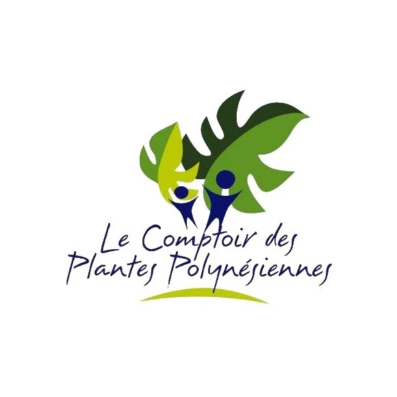 Coco Creme Visage A L'huile De Coco Vierge Tikehau 50mL 3 Coco Creme Visage A L'huile De Coco Vierge Tikehau 50mL – Image 3