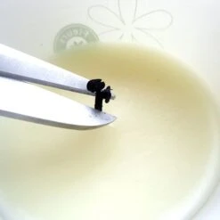 Coffret Bougie Monoi Parfumee Aux Fleurs De Tiare Tahiti 180g 8 Coffret Bougie Monoi Parfumee Aux Fleurs De Tiare Tahiti 180g -Monoï Boutique coffret bougie monoi parfumee aux fleurs de tiare tahiti 180g 3