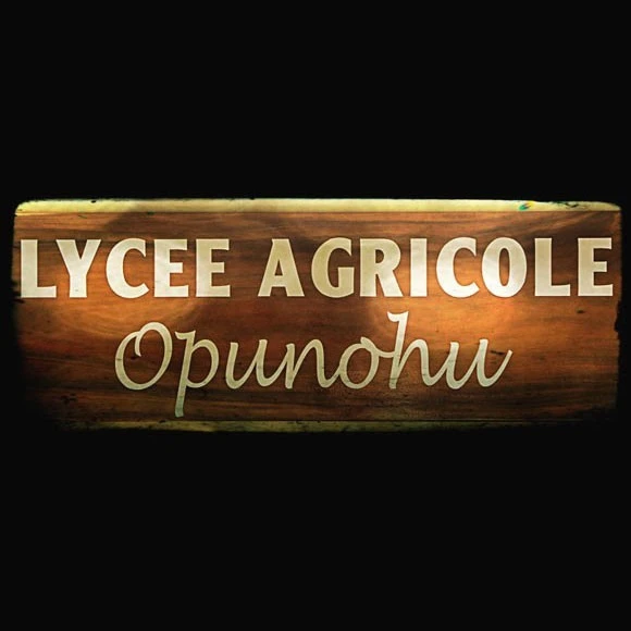 Confiture Artisanale Moorea 350g Fleurs Tiare Tahiti 3 Confiture Artisanale Moorea 350g Fleurs Tiare Tahiti – Image 3