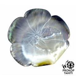 Coupelle Nacre Gravee Prokop Tahiti Fleur Hibiscus