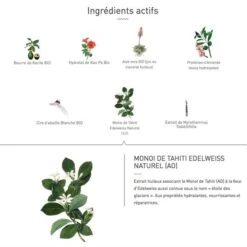 Eq Bio Creme Visage Cold Cream Monoi Edelweiss 50ml 8 Eq Bio Creme Visage Cold Cream Monoi Edelweiss 50ml -Monoï Boutique eq bio creme visage cold cream monoi edelweiss 50ml 2