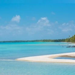 Fleur De Sel Tuamotu Avec Citron Des Iles 60g Tahiti Sel -Monoï Boutique fleur de sel tuamotu avec citron des iles 60g tahiti sel 4