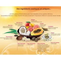 Huile Bronzante 200ml Hawaiian Tropic Spf4 -Monoï Boutique huile bronzante 200ml hawaiian tropic spf4 3