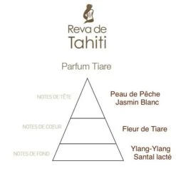 Huile De Monoi Scintillante Gold Reva De Tahiti 50ml 9 Huile De Monoi Scintillante Gold Reva De Tahiti 50ml -Monoï Boutique huile de monoi scintillante gold reva de tahiti 50ml 3
