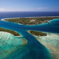 Huile De Tamanu Tahiti Extra Vierge Rangiroa 75 ML -Monoï Boutique huile de tamanu tahiti extra vierge rangiroa 75 ml 2