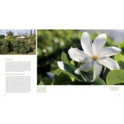 La Route Du Monoi Livre 160 Pages C.dubois -Monoï Boutique la route du monoi livre 160 pages cdubois 2