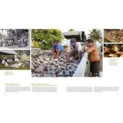 La Route Du Monoi Livre 160 Pages C.dubois -Monoï Boutique la route du monoi livre 160 pages cdubois 4