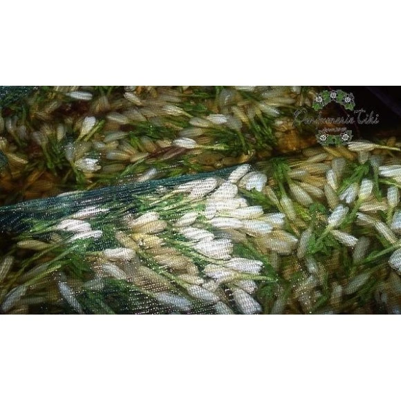 Monoi Tiki Tahiti 100% Naturel Non Parfume 120ml 3 Monoi Tiki Tahiti 100% Naturel Non Parfume 120ml – Image 3