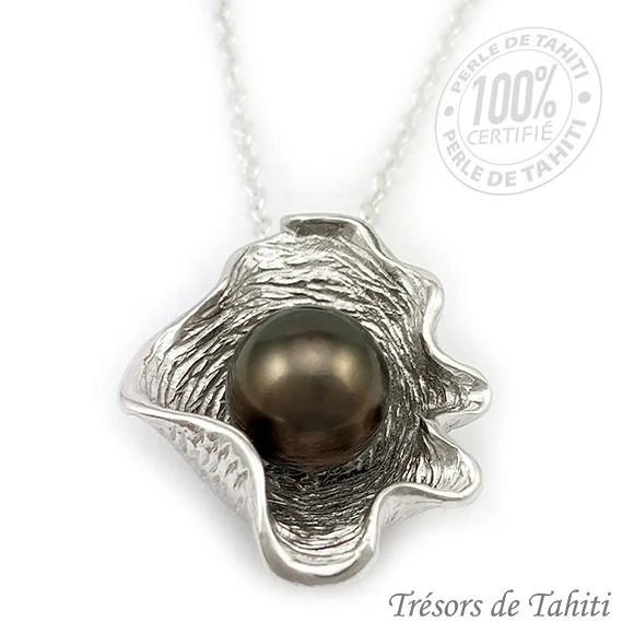 Pendentif Perle De Tahiti Coquillage Chaine Argent TT393 2 Pendentif Perle De Tahiti Coquillage Chaine Argent TT393 – Image 2