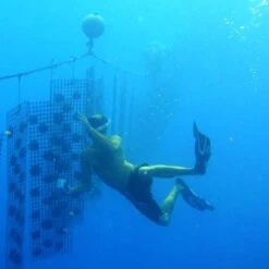 Pendentif Perle De Tahiti Semi Ronde Chaine Argent TT401 -Monoï Boutique pendentif perle de tahiti semi ronde chaine argent tt401 4