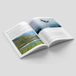 Premier Voyage En Polynesie Livre Sebastien Lallemand -Monoï Boutique premier voyage en polynesie livre sebastien lallemand 3