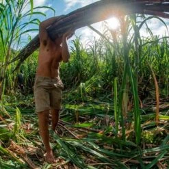 Rhum Agricole Tres Vieux Vsop 41 Manutea Tahiti 70cl -Monoï Boutique rhum agricole tres vieux vsop 41 manutea tahiti 70cl 3