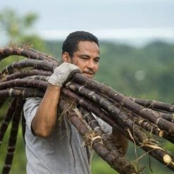 Rhum Paille Bio 43° Mana'o Tahiti 70cl -Monoï Boutique rhum paille bio 43 mana o tahiti 70cl 4