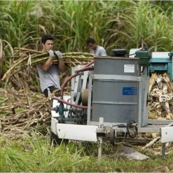 Rhum Paille Bio 43° Mana'o Tahiti 70cl -Monoï Boutique rhum paille bio 43 mana o tahiti 70cl 5