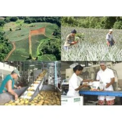 Rotui 100% Pur Jus D'ananas Moorea Tahiti 1 Litre -Monoï Boutique rotui 100 pur jus d ananas moorea tahiti 1 litre 3